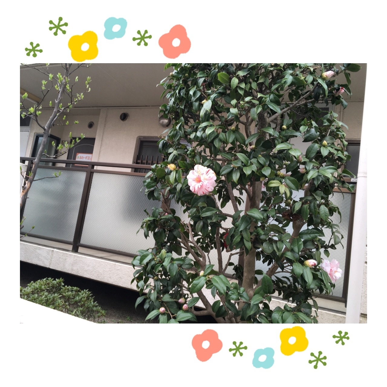 ステーション